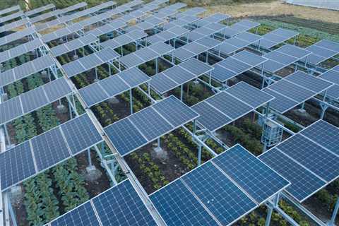 Launching East Africa’s first combined solar energy and agriculture system | Institute for..