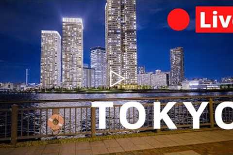 Live Tokyo Night Exploring -  1440p