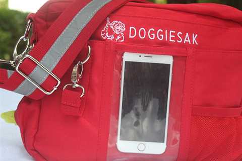 DoggieSak: Canine Strolling Bag for $59