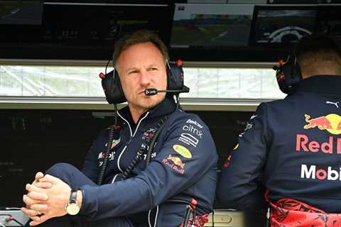  Christian Horner: Red Bull team principal calls for F1-FIA review after Sebastian Vettel V10..