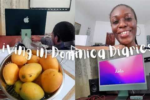 LIFE IN DOMINICA | Unboxing Apple iMac 24-Inch & Studio Monitors, Grilling Suya Peppered..