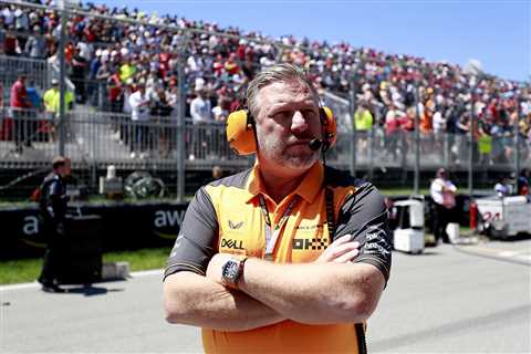  Brown addresses social media backlash over McLaren driver contract disputes 