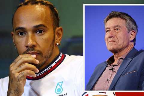  Lewis Hamilton may have already come close to retiring from F1 claims former driver |  F1 | ..