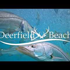 LIVE - Underwater Camera - Deerfield Beach, FL USA