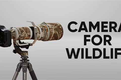 5 Best Camera for Wildlife Photography