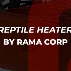 How to Choose High-Quality Reptile Heating Pads?