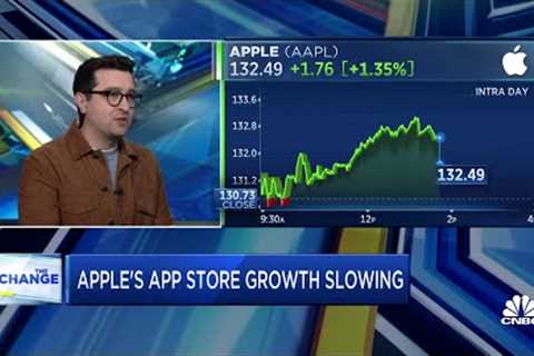 Apple sees slowing growth in app store performance
