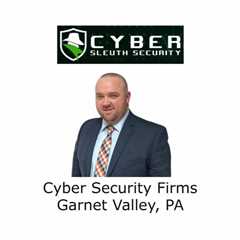 Cyber Security Firms Garnet Valley, PA