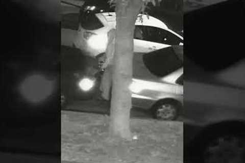 CAR THIEVES CAUGHT ON HOME SECURITY CAMERA
