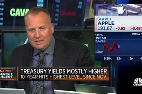 Apple''s earnings are going to move the market, says Ritholtz''s Josh Brown