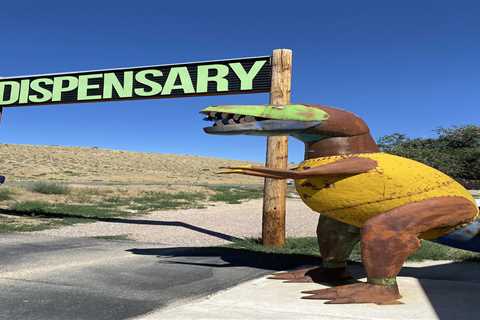 Pot Increase Wakes Sleepy Dinosaur, Colorado