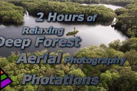 2 Hours of Relaxing Deep Forest Aerial Photography