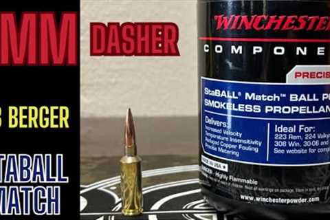 6MM Dahser Staball Match, 108 Berger