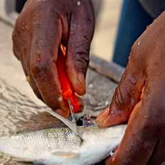 The Vital Role of Fishing and Seafood in Currituck County, NC's Economy