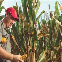 The Impact of Pesticides and Fertilizers on Natural Resources in Currituck County, NC