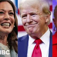 Poll bombshells: Harris beats Trump on the economy — and could flip Florida?!