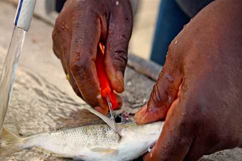 The Vital Role of Fishing and Seafood in Currituck County, NC's Economy