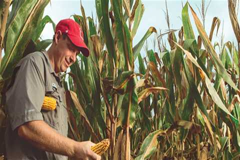 The Impact of Pesticides and Fertilizers on Natural Resources in Currituck County, NC