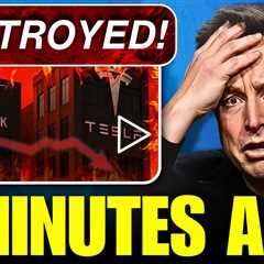 BREAKING: Tesla Stock Price PLUMMETS 47% - The Shocking Truth They're Hiding