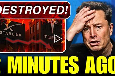 BREAKING: Tesla Stock Price PLUMMETS 47% - The Shocking Truth They're Hiding