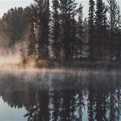The Expert's Guide to Rescheduling or Canceling a Medical Test Appointment in Clark County,..