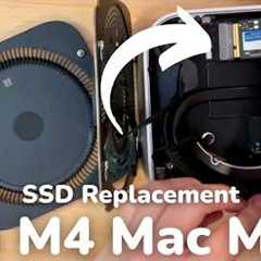 UPGRADING the SSD on an M4 Mac mini!?