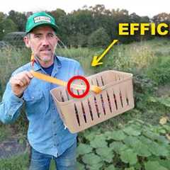 Don''t Be Jealous of My DIY Harvest Basket