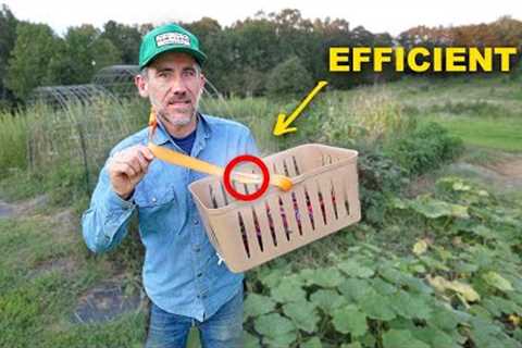 Don''t Be Jealous of My DIY Harvest Basket