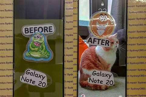 Note 20 Display Freeze: Uncovering the Technician's Screw-Up!