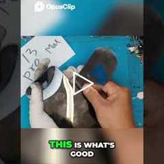 iPhone 13 Pro Max  Easy Display Removal | Sydney CBD Repair