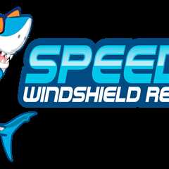 Découvrez la fiabilité et la sécurité chez NV Casino en 2024