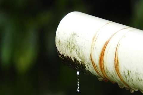 Protect Your Home with Expert Leak Detection