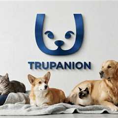 About Us - Great American Insurance Group - Specialty Property & Casualty Insurance